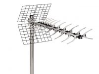 ant2